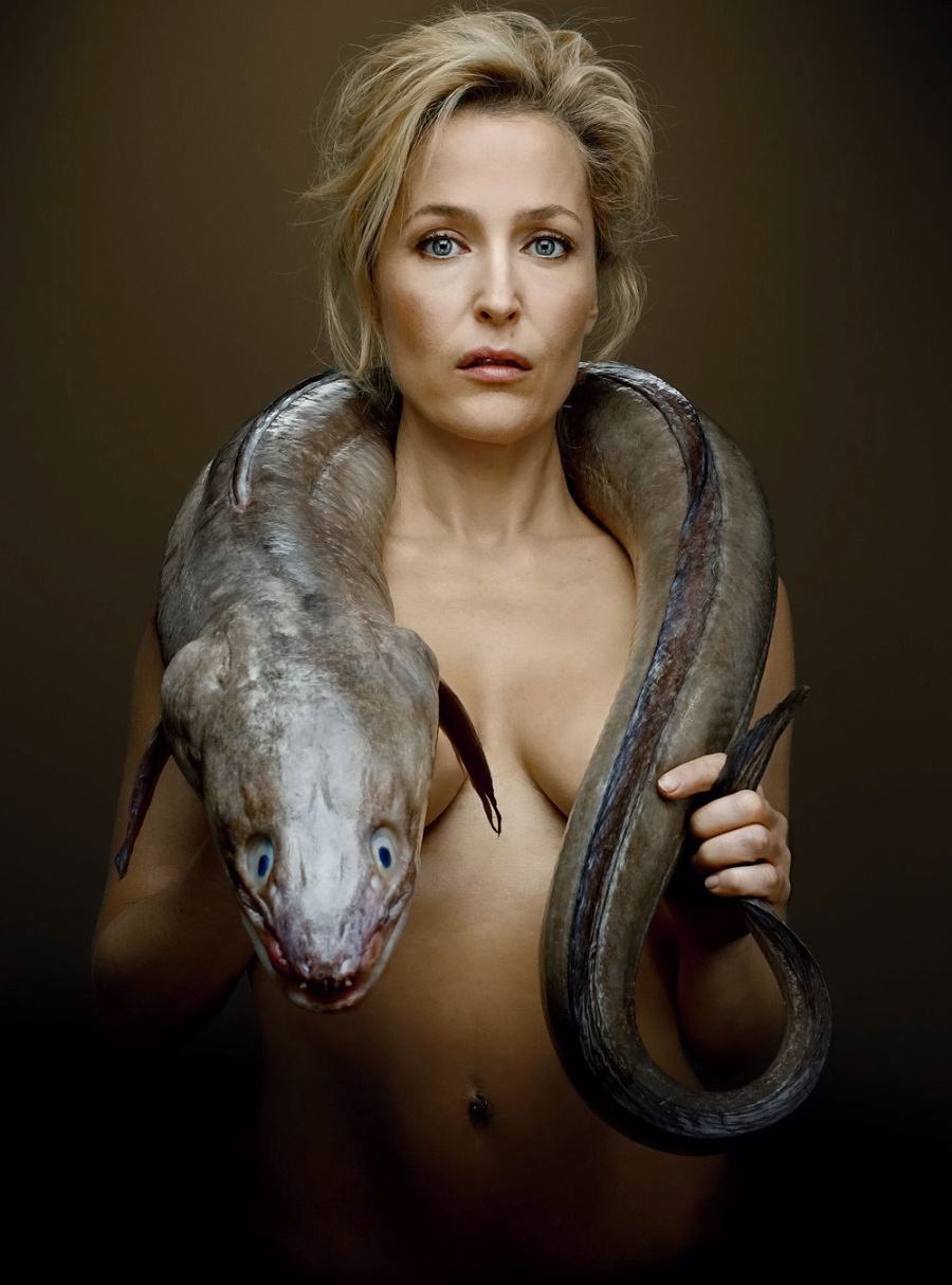 Obrázek Gillian Anderson