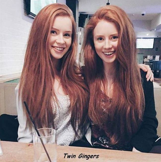 Obrázek Ginger Twins   