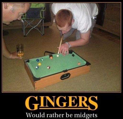 Obrázek Gingers