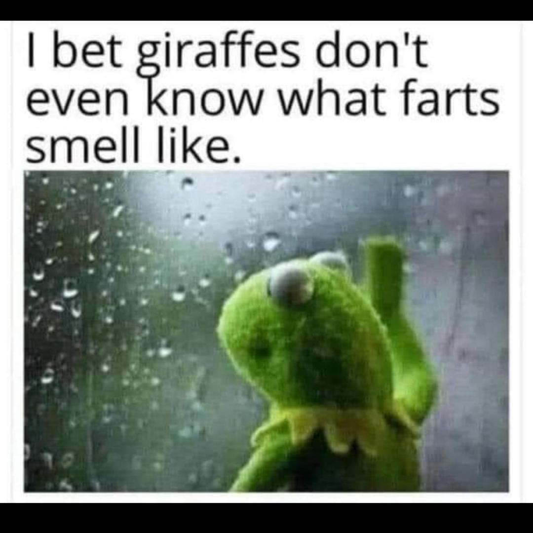 Obrázek Giraffes and farts