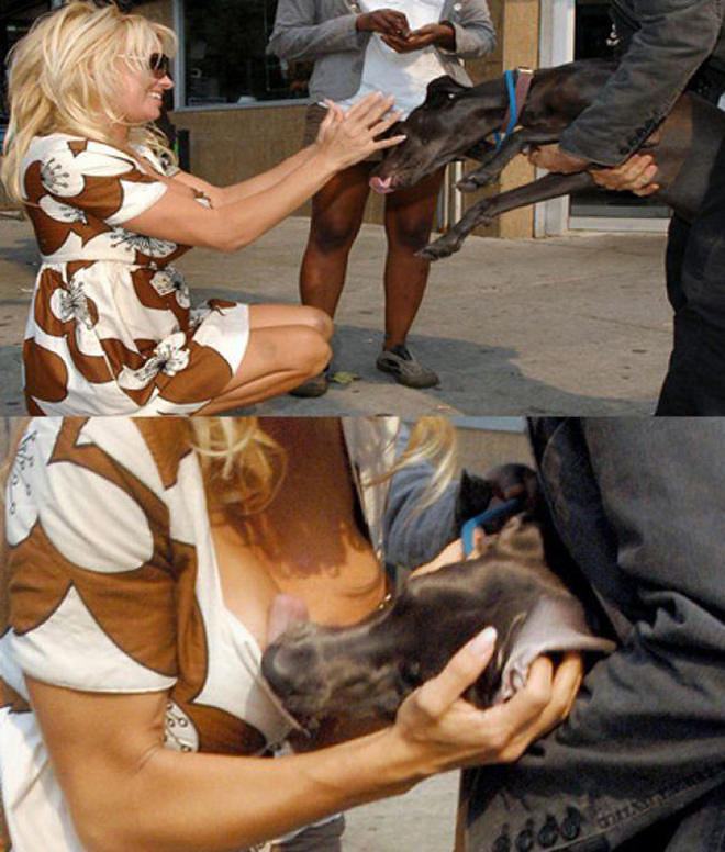 Obrázek Give It To Me Baby