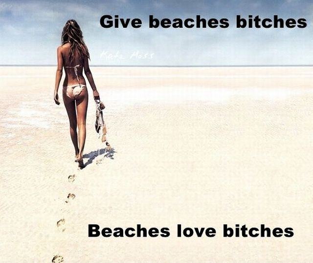 Obrázek Give beaches bitches