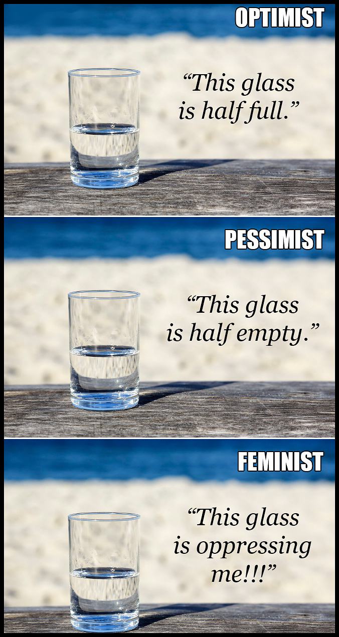Obrázek Glass of Water As Seen by Different People