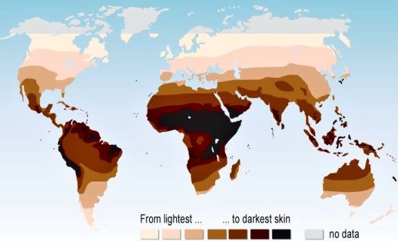Obrázek Global Map Of Skin Colour