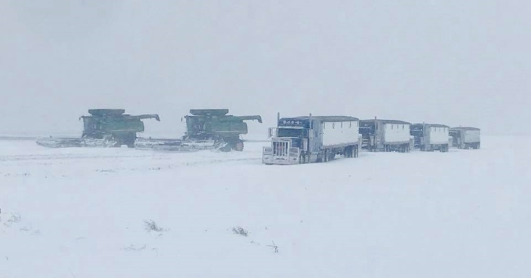 Obrázek Global Warming Update - Harvesting wheat in North Dakota