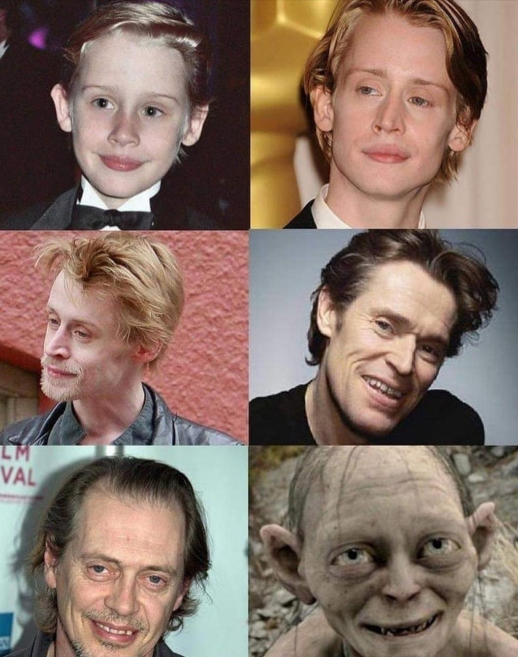 Obrázek Gollum evolution