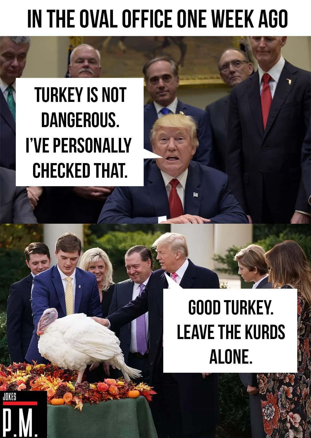 Obrázek Good turkey