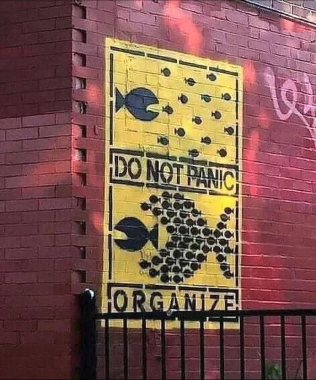 Obrázek Good wall advice