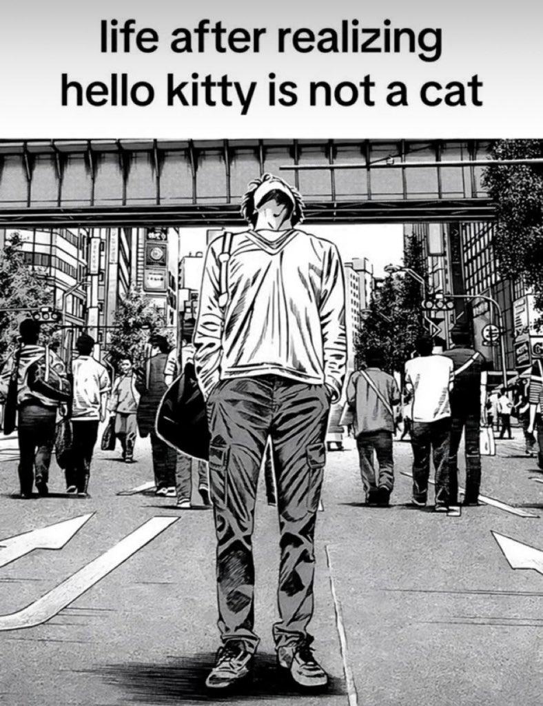Obrázek Goodbye kitty