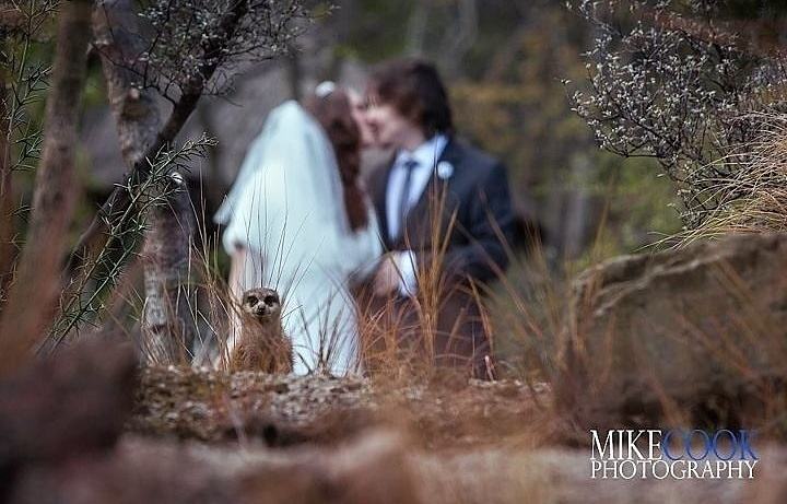 Obrázek Got photobombed at my own wedding - 19-04-2012