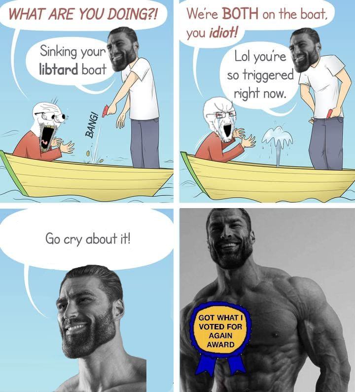 Obrázek Got what I voted