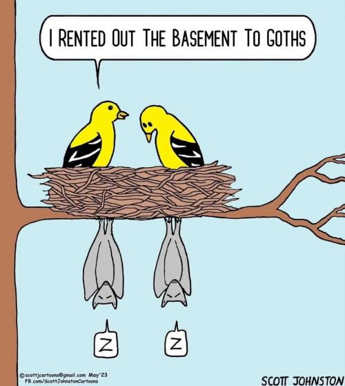 Obrázek Goth renters