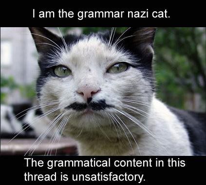 Obrázek GrammarNazi