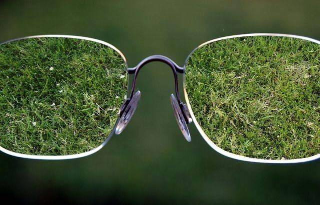 Obrázek Grassglasses