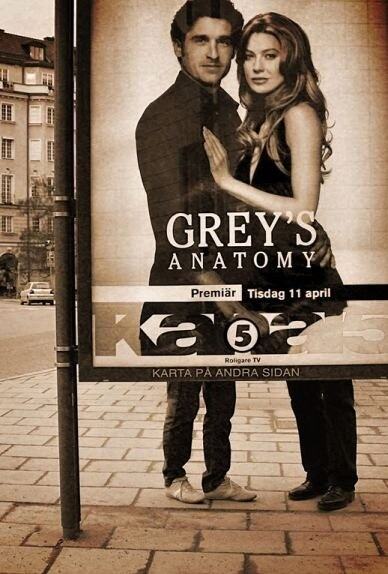 Obrázek Greys anatomy