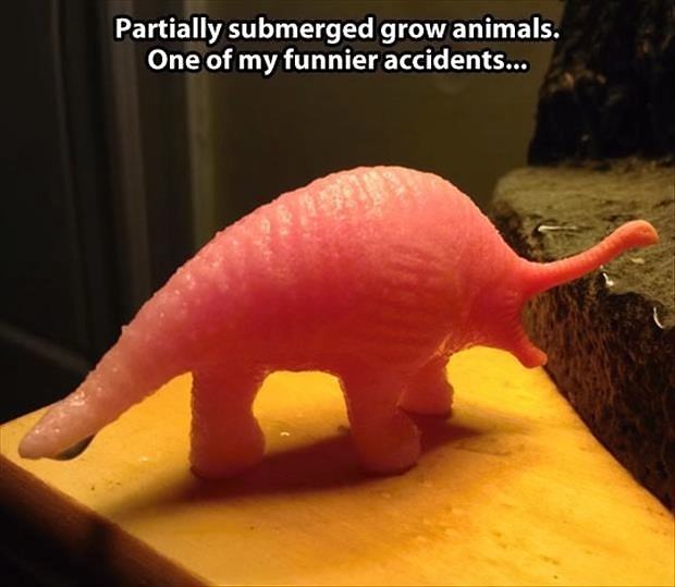 Obrázek Grow Animals