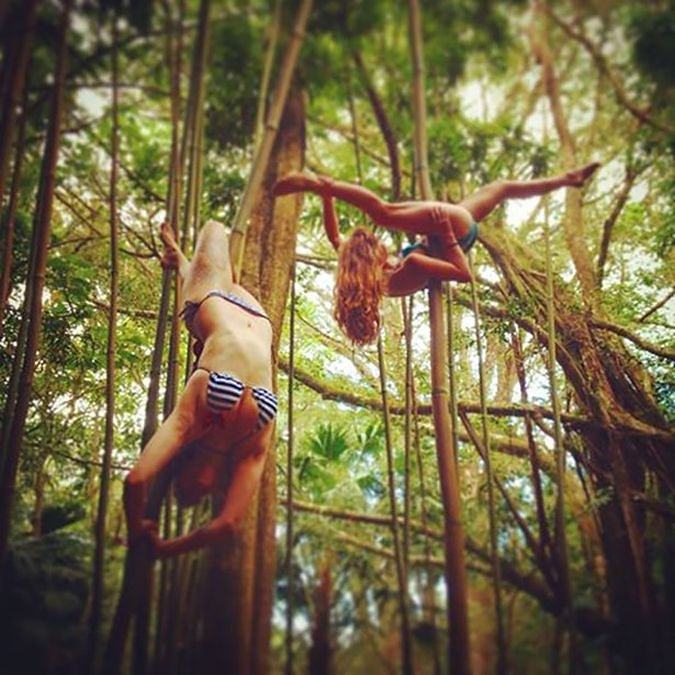 Obrázek Growing&nbsp;On&nbsp;Trees