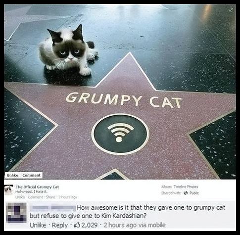 Obrázek Grumpy-cat-is-here