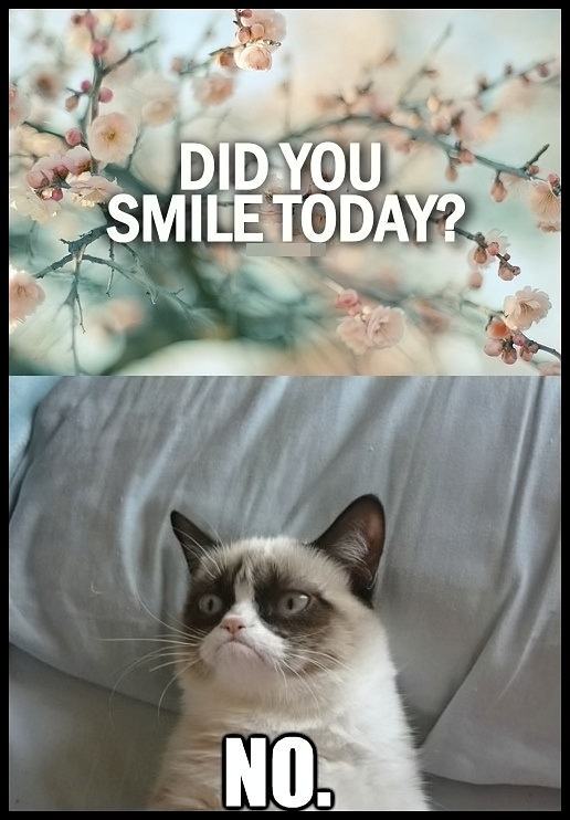 Obrázek Grumpy cat and a smile 