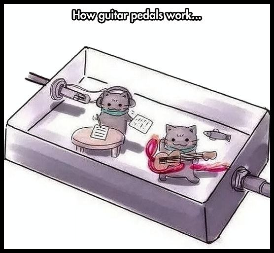 Obrázek Guitar&nbsp;Pedals