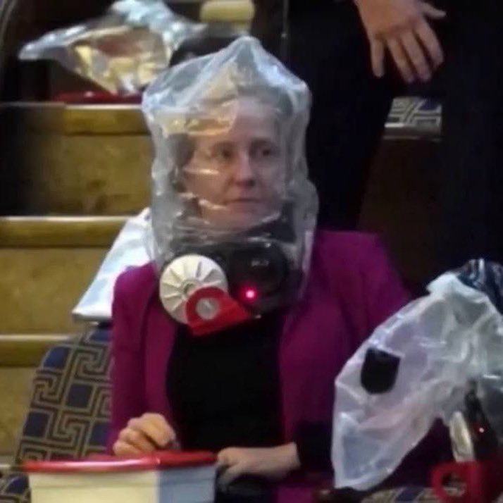 Obrázek Guvernerka z Virgine veri nesmyslum o virech