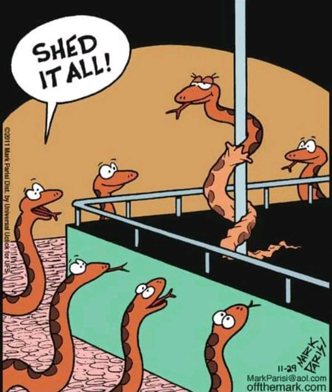 Obrázek Hadi striptyz