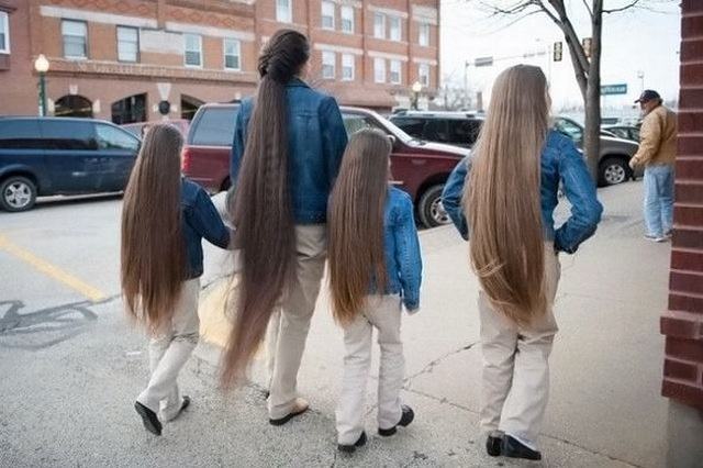 Obrázek Hairfamily