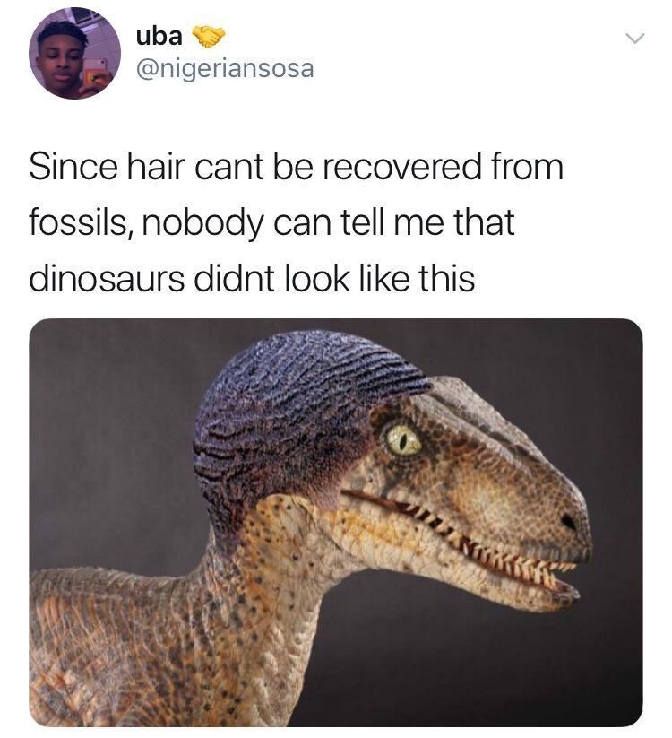 Obrázek Hairosauras
