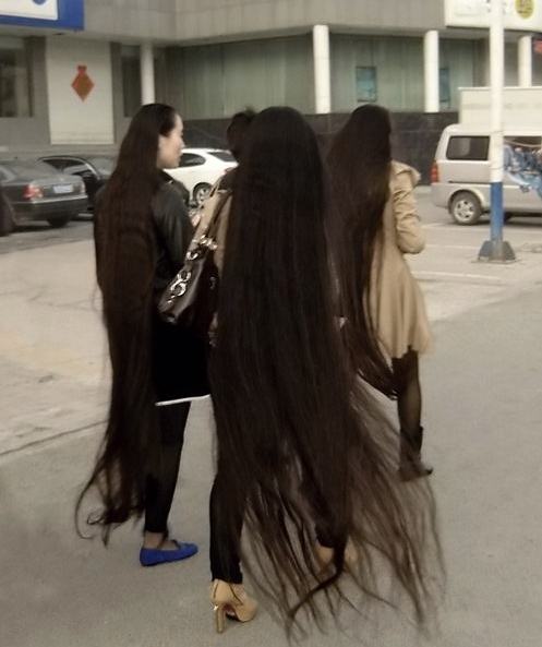 Obrázek Hairs- level Asians