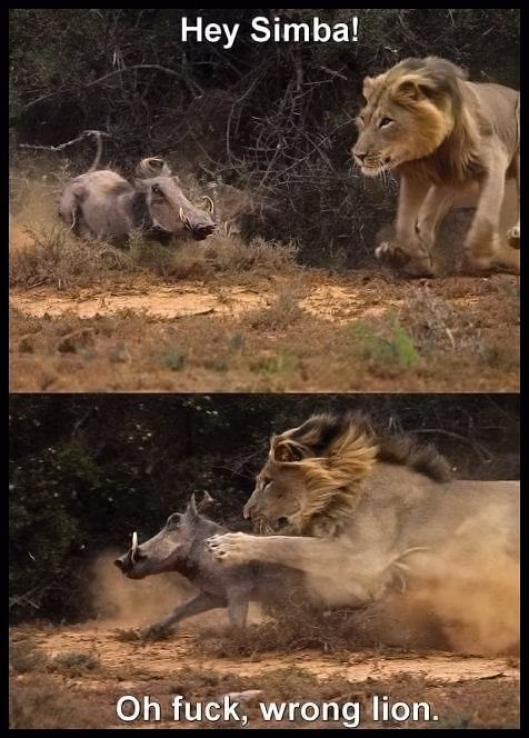 Obrázek Hakuna Matata  
