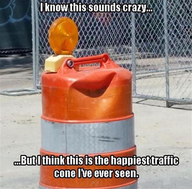 Obrázek Happiest Traffic Cone I Have Ever Seen