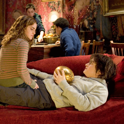 Obrázek Harry and Hermiona