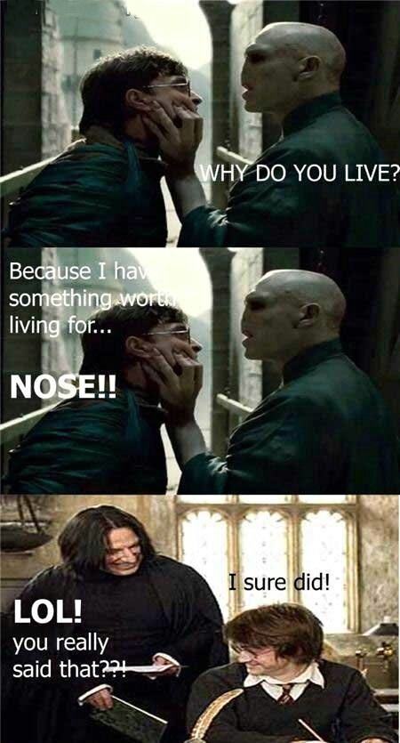 Obrázek Harry vs Voldemort 260511