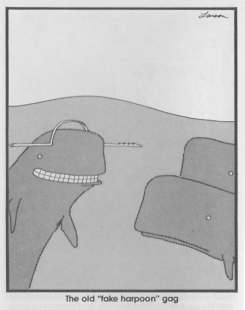 Obrázek Having a whale of a time