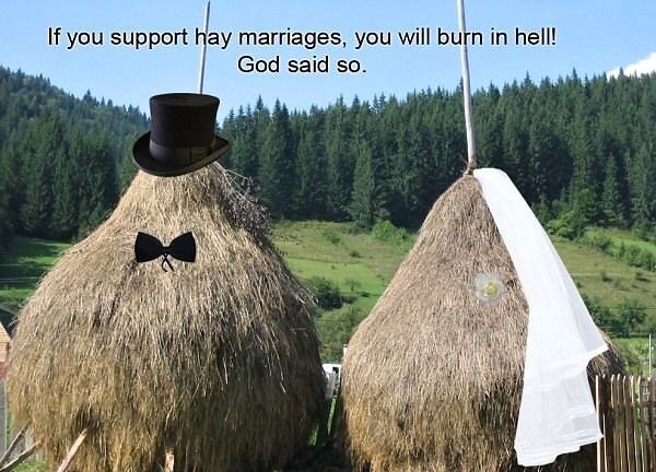 Obrázek Hay Marriages