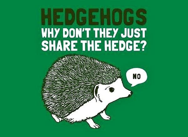 Obrázek Hedgehogs 20-12-2011