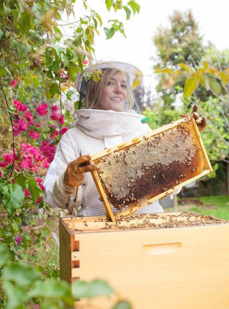 Obrázek Hello Honey