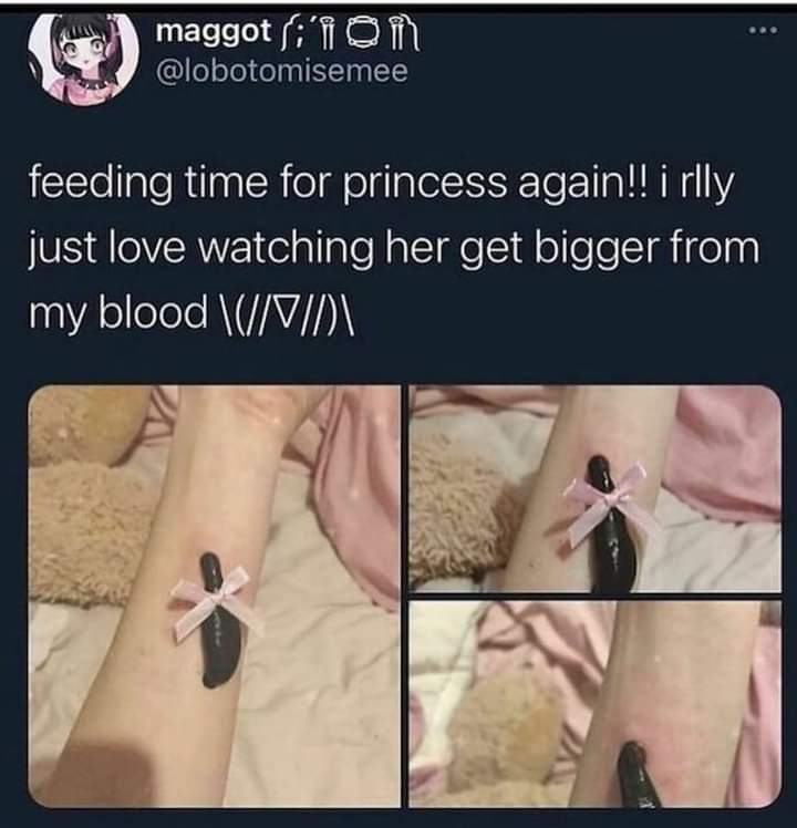 Obrázek Hezke zvire