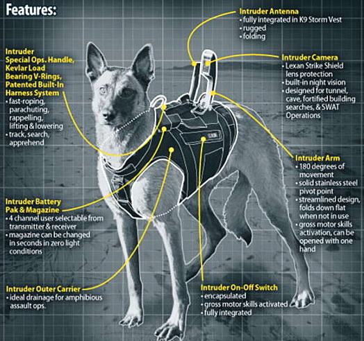 Obrázek High-tech dog vests the U.S. Army