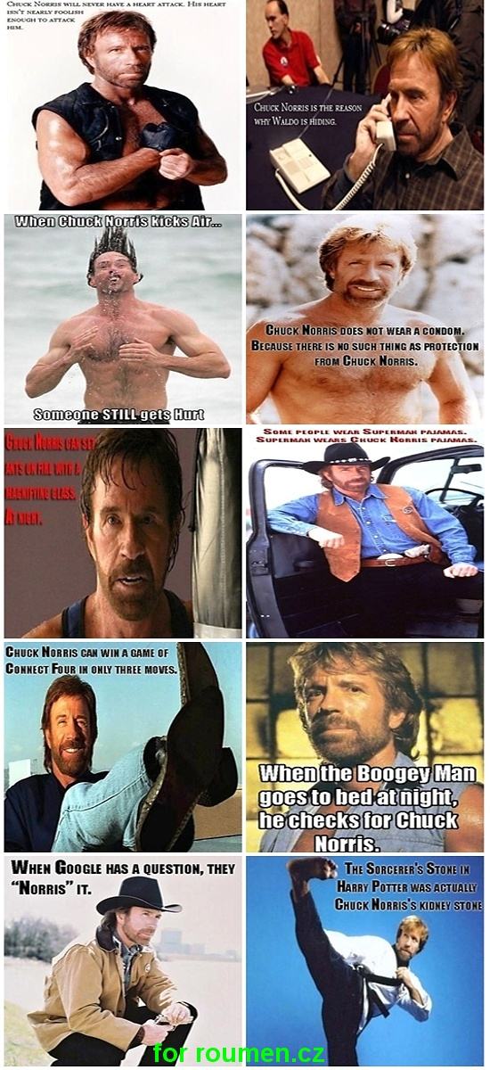 Obrázek Hilarious Chuck Norris Facts