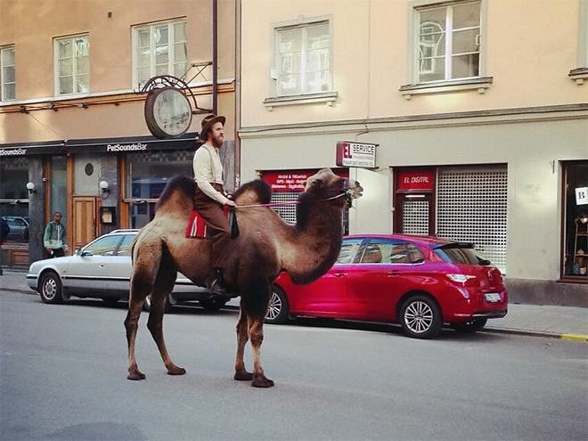 Obrázek Hipster Extremist