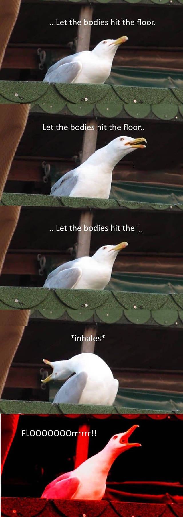 Obrázek HitTheFloor