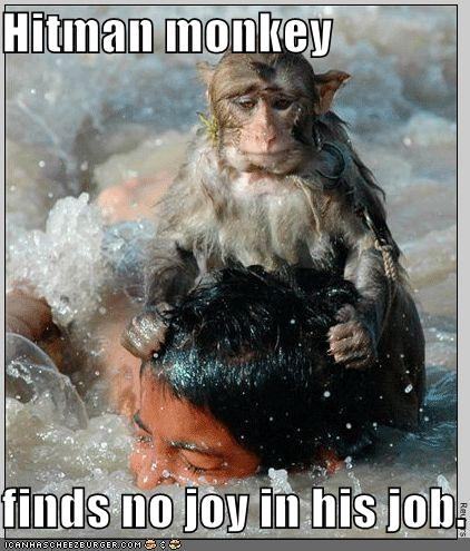 Obrázek Hitman monkey