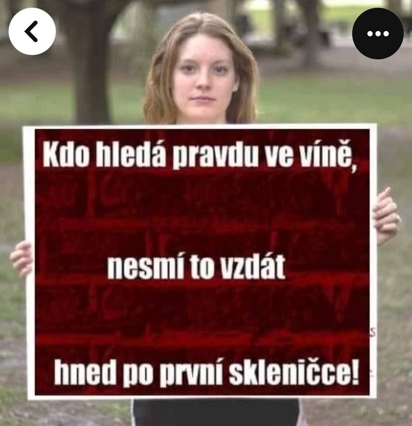 Obrázek HledamePravdu