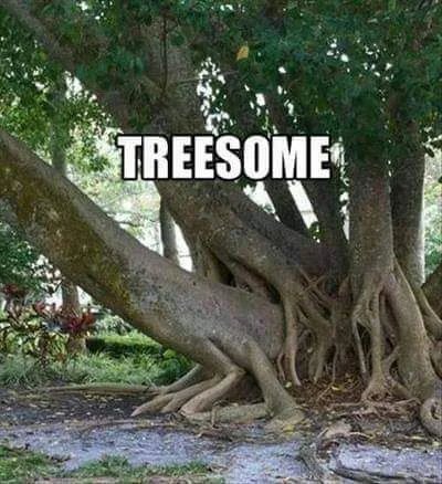Obrázek Hmm-yes-intreesting