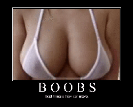 Obrázek Hmm boobs 22-01-2012