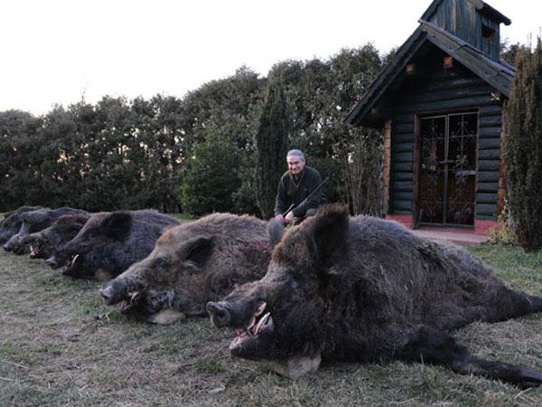 Obrázek Hog Hunter
