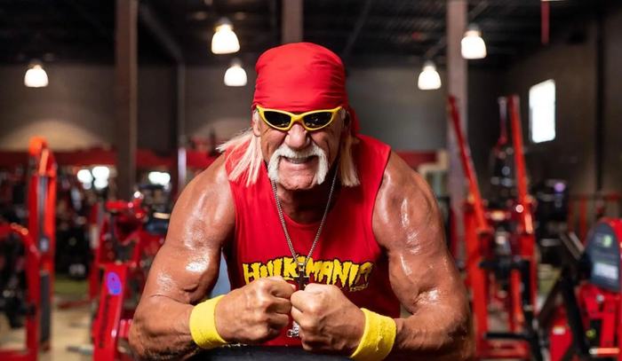 Obrázek Hogan rip