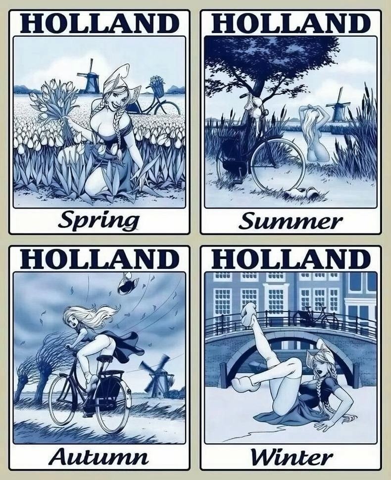 Obrázek Holland5467