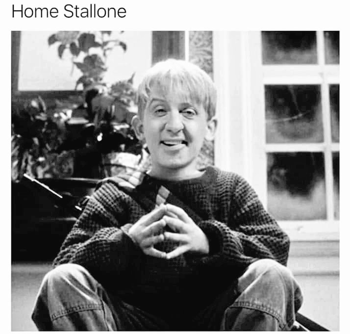 Obrázek Home alone - first blood